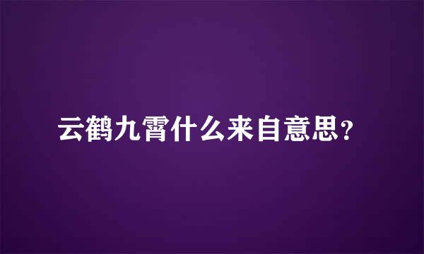 云鹤九霄什么来自意思？