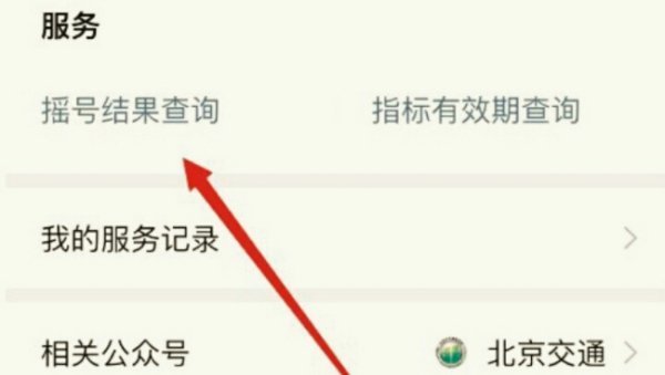 个人汽车指标查询