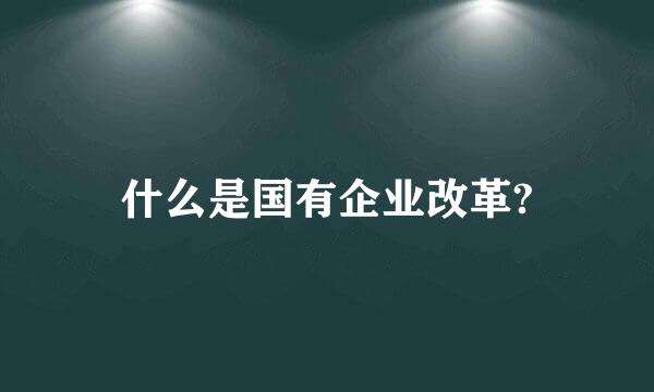 什么是国有企业改革?