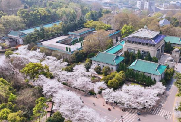 武汉大学2023年研究生分数线