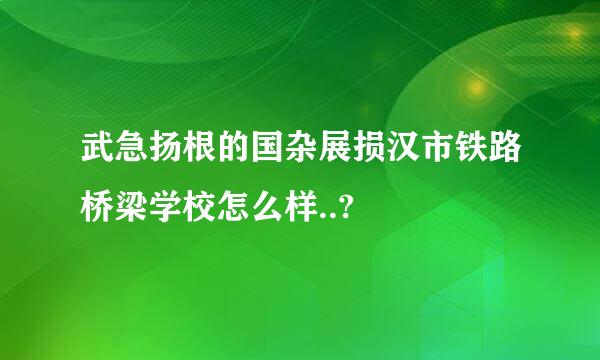 武急扬根的国杂展损汉市铁路桥梁学校怎么样..?