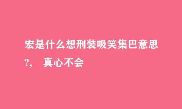 宏是什么想刑装吸笑集巴意思?, 真心不会