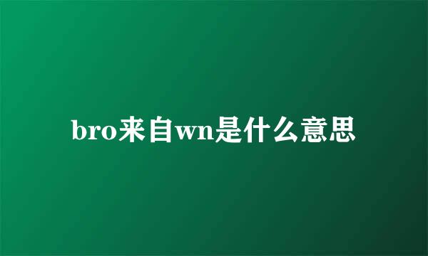 bro来自wn是什么意思