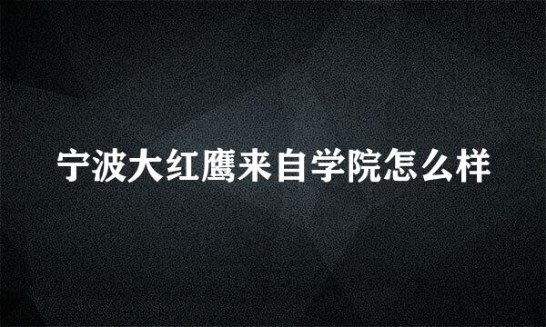 宁波大红鹰来自学院怎么样