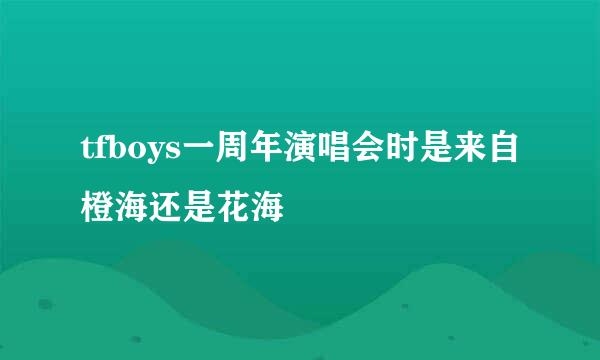 tfboys一周年演唱会时是来自橙海还是花海