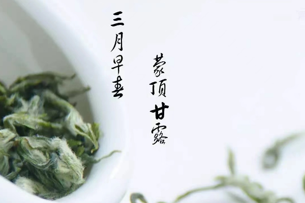 茶诗句大全茶诗妙句