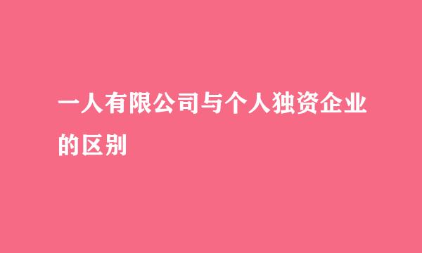 一人有限公司与个人独资企业的区别