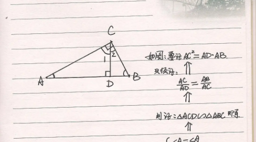 摄影定理是什么意思？