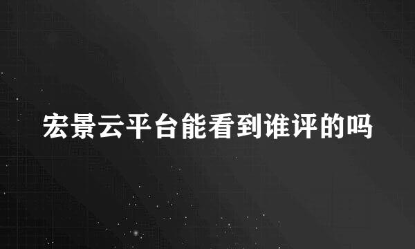 宏景云平台能看到谁评的吗