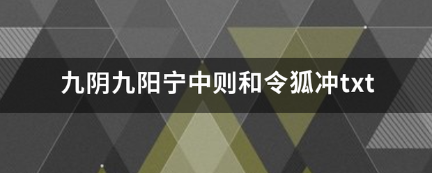 九阴九阳宁中则和令狐冲txt