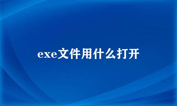 exe文件用什么打开