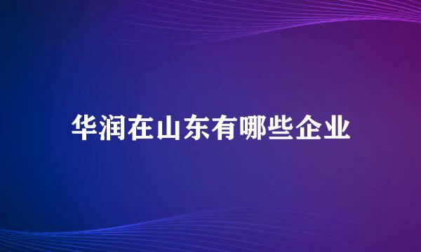 华润在山东有哪些企业