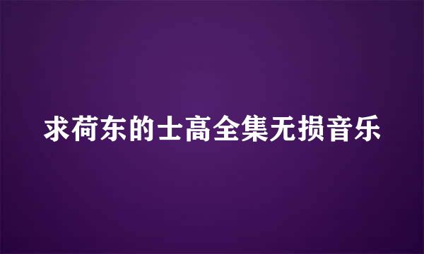 求荷东的士高全集无损音乐