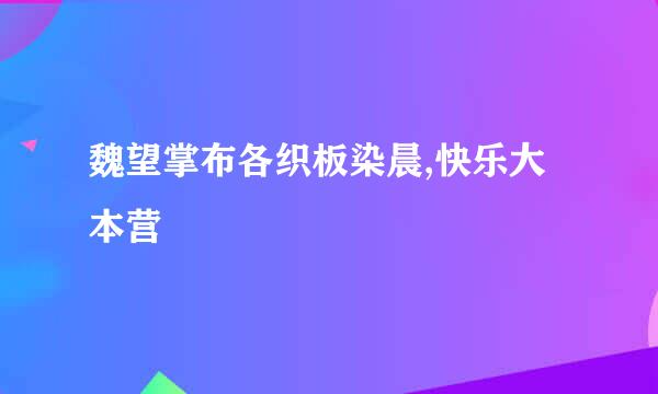 魏望掌布各织板染晨,快乐大本营