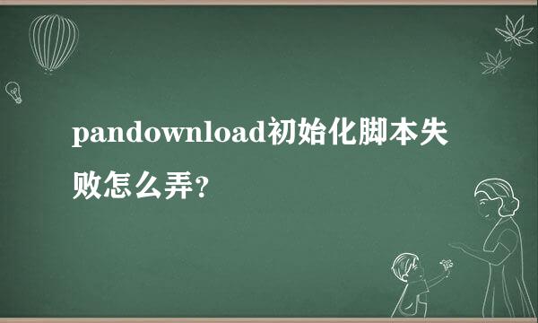 pandownload初始化脚本失败怎么弄？