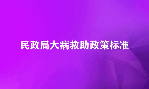 民政局大病救助政策标准