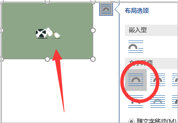 wor好算过若镇套松d插入图片无法显示