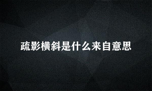 疏影横斜是什么来自意思