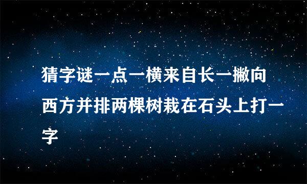 猜字谜一点一横来自长一撇向西方并排两棵树栽在石头上打一字