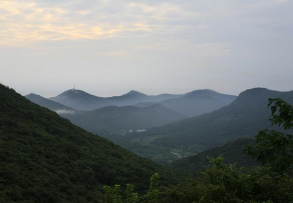 永宁镇的简介