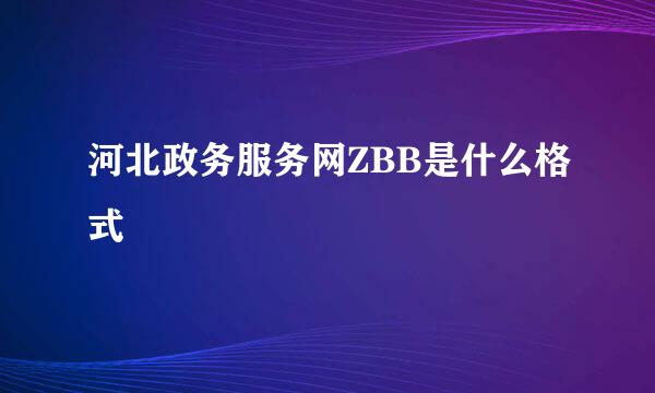 河北政务服务网ZBB是什么格式