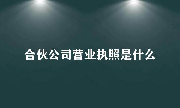 合伙公司营业执照是什么