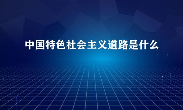 中国特色社会主义道路是什么