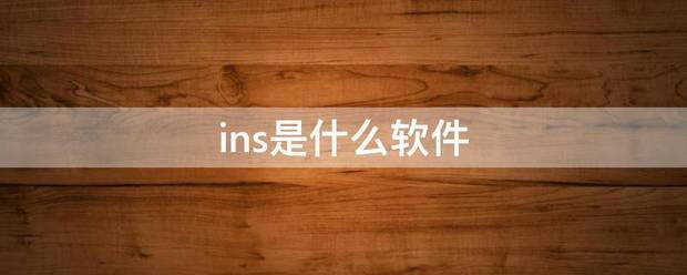 ins是什么软件