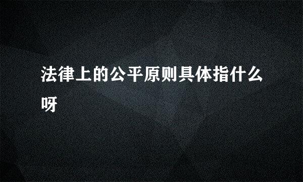 法律上的公平原则具体指什么呀