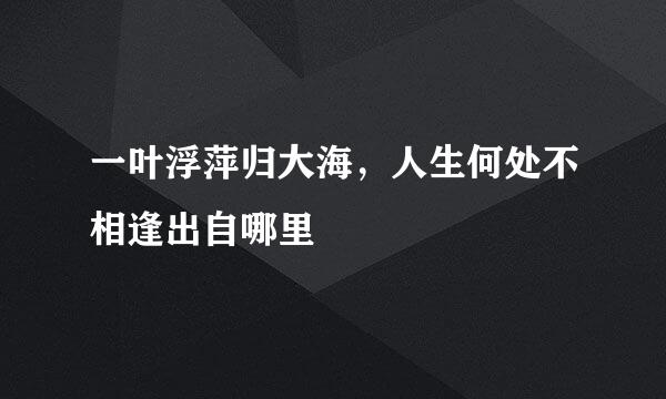 一叶浮萍归大海，人生何处不相逢出自哪里