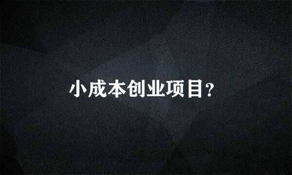 小成本创业项目？