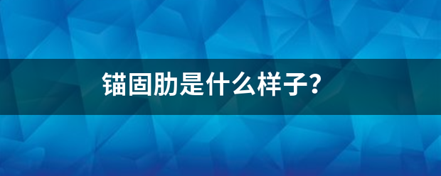 锚固肋是什么样子？