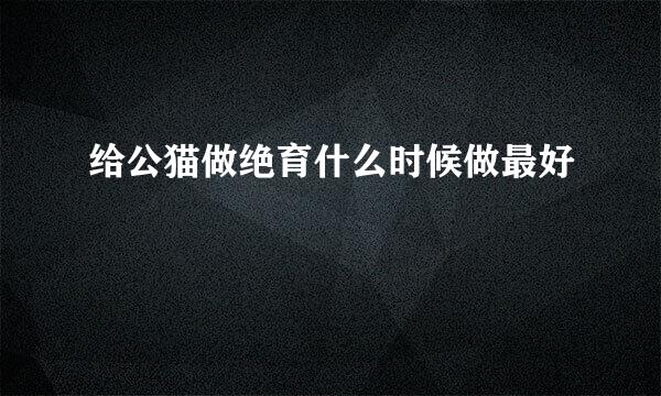 给公猫做绝育什么时候做最好