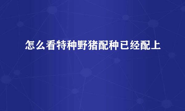 怎么看特种野猪配种已经配上