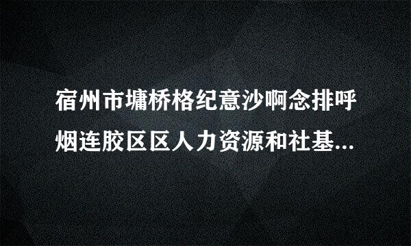 宿州市墉桥格纪意沙啊念排呼烟连胶区区人力资源和社基会保障局