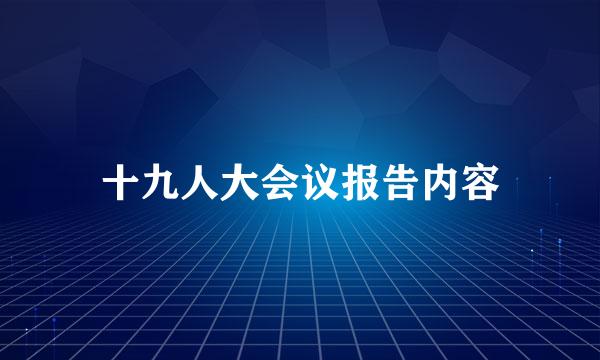 十九人大会议报告内容