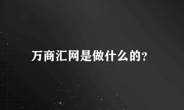 万商汇网是做什么的？