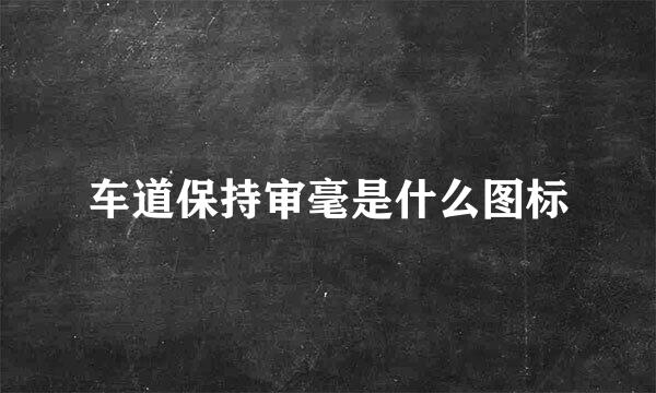 车道保持审毫是什么图标