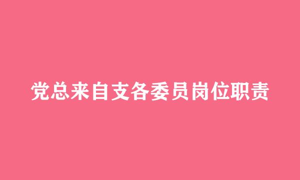 党总来自支各委员岗位职责