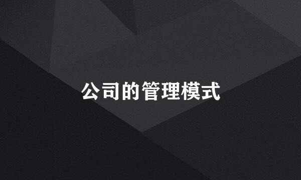 公司的管理模式