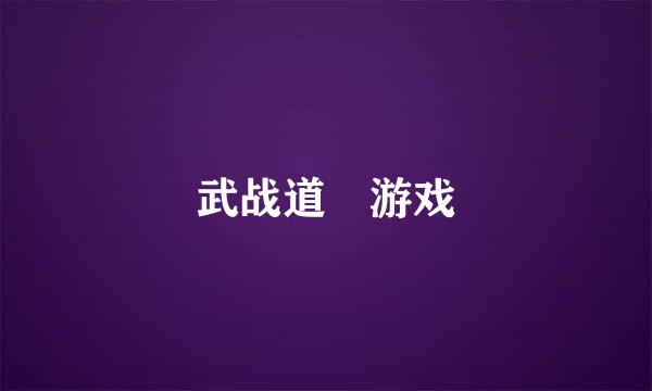 武战道 游戏