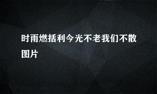 时雨燃括利今光不老我们不散图片