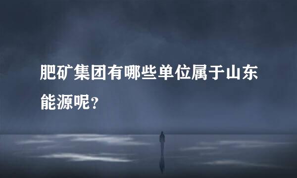 肥矿集团有哪些单位属于山东能源呢？