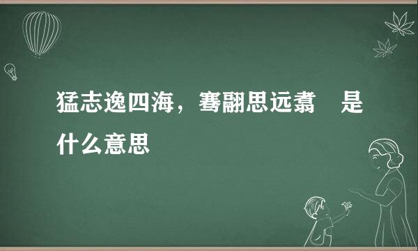 猛志逸四海，骞翮思远翥 是什么意思