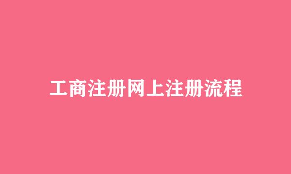 工商注册网上注册流程