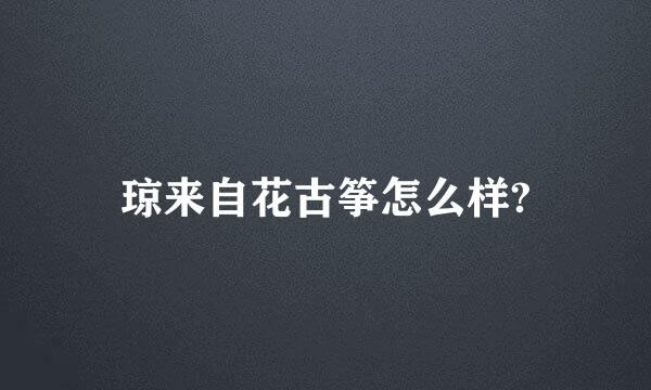 琼来自花古筝怎么样?