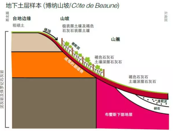 泥灰岩的物质组成