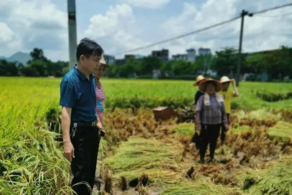 农林经济管理就业方向