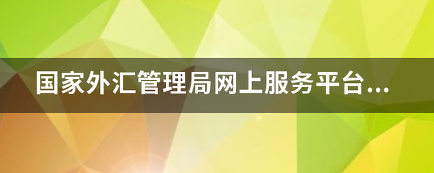 国家外汇管理局网上服务平台