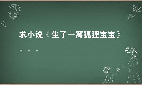 求小说《生了一窝狐狸宝宝》。。。